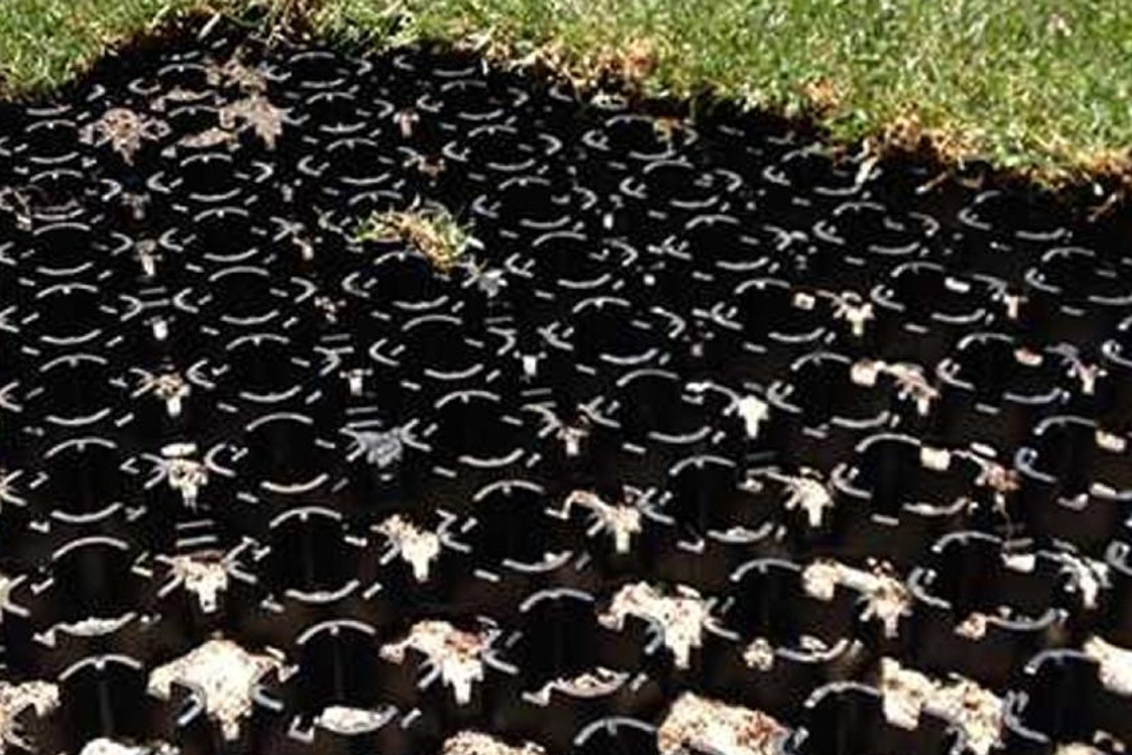 Black Geocell Pro grass pavers with turf laid over the cells