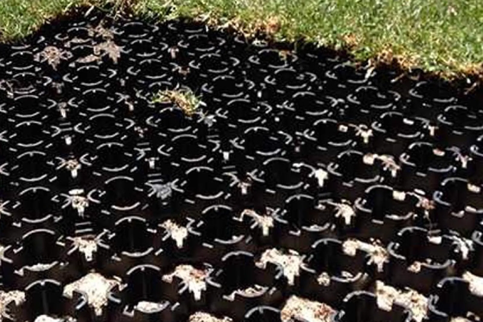 Black Geocell Pro grass pavers with turf laid over the cells